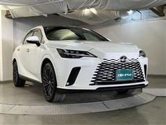 RX350h バージョンL