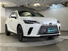 RX350h バージョンL