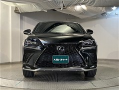 NX300 Fスポーツ