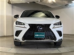 NX300h Fスポーツ
