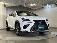 NX300h Fスポーツ