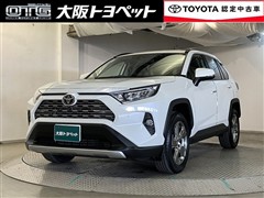 RAV4 G
