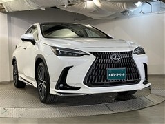 NX250 バージョンL