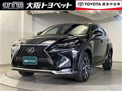 NX300h Fスポーツ