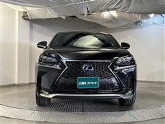 NX300h Fスポーツ