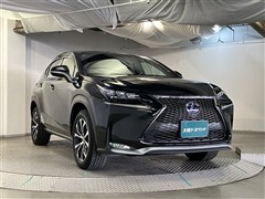 NX300h Fスポーツ