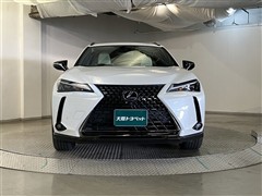 UX250h アーバンエレガンス