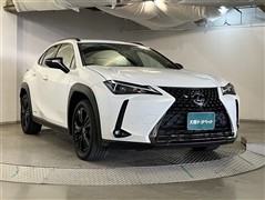 UX250h アーバンエレガンス