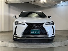 UX250h バージョンC