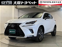 NX300h ブラックシークエンス