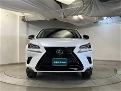 NX300h ブラックシークエンス