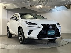 NX300h ブラックシークエンス
