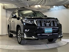 ランドクルーザープラド TZ-G