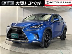 NX300 バージョンL