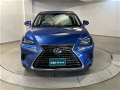 NX300 バージョンL