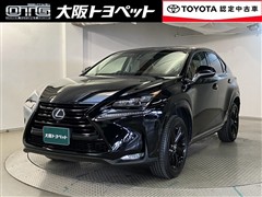 NX300h アーバンスタイル