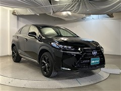 NX300h アーバンスタイル