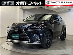 NX300h スパイス&シック