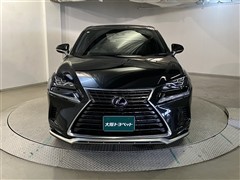 NX300h スパイス&シック