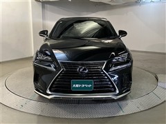 NX300h スパイス&シック