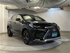 NX300h スパイス&シック