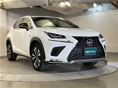 NX300 Fスポーツ