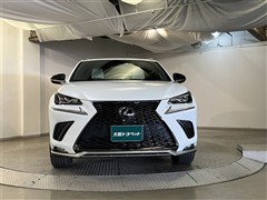 NX300 Fスポーツ