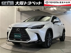 NX250 バージョンL