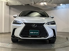 NX250 バージョンL