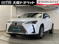 UX250h グレイスフルエクスプロ