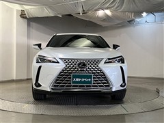 UX250h グレイスフルエクスプロ