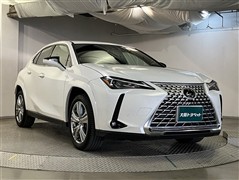 UX250h グレイスフルエクスプロ