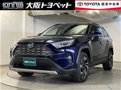 RAV4 HV G