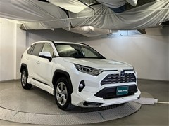 RAV4 HV G