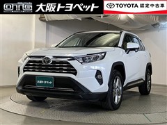 RAV4 X