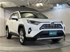 RAV4 HV G