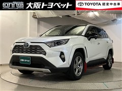 RAV4 HV G