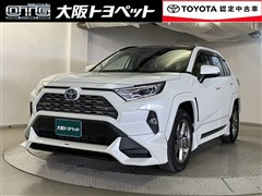 RAV4 HV G