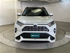RAV4 HV G