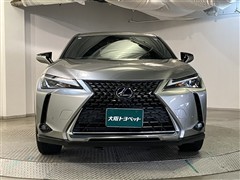 UX250h バージョンC