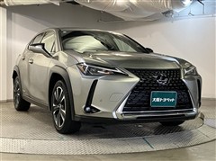 UX250h バージョンC