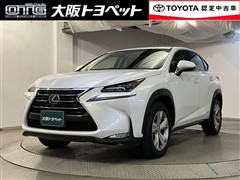 NX300h バージョンL