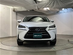 NX300h バージョンL