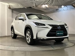 NX300h バージョンL