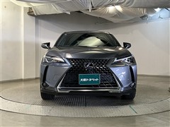 UX250h バージョンC