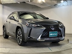 UX250h バージョンC