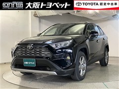 RAV4 G