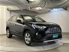 RAV4 G
