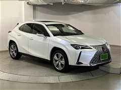 UX250h グレイスフルエクスプロ