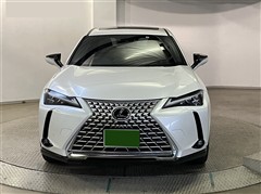 UX250h グレイスフルエクスプロ